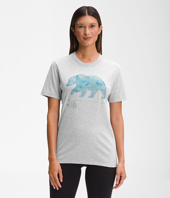 Camiseta The North Face Mujer Manga Corta Bearscape 2.0 - Colombia BJUOSX843 - Gris Claro